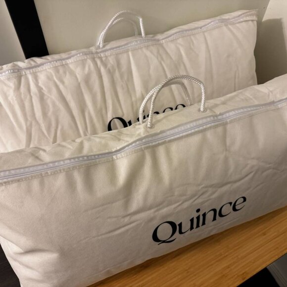 NIB Quince Luxe Goose Down Pillow King Size Soft/Medium (2 pillows) - Picture 2 of 4